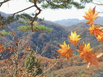 饼干,饼干英语